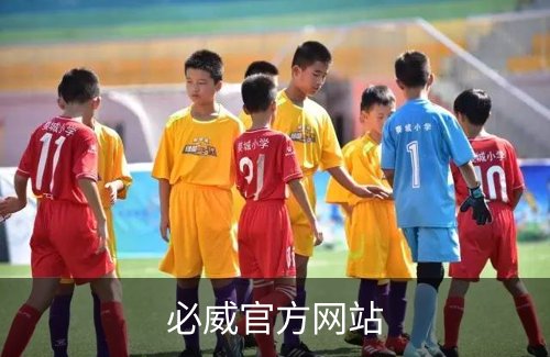 必威官方网站简介