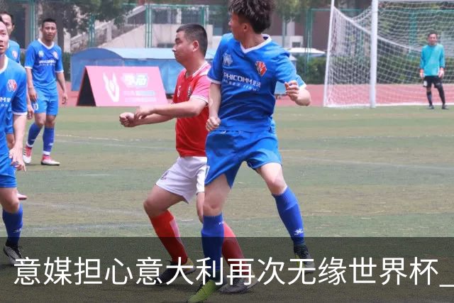 意媒担心意大利再次无缘世界杯 名帅批球队飘了